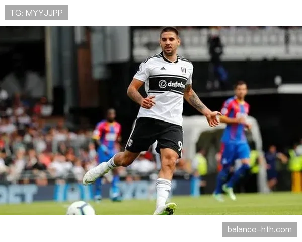 米特罗维奇身体对抗能力提升，球队寄予新赛季突破厚望